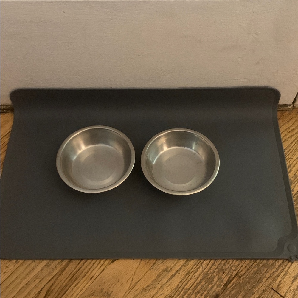 Stainless Steel Pet Bowls with Gray Mat